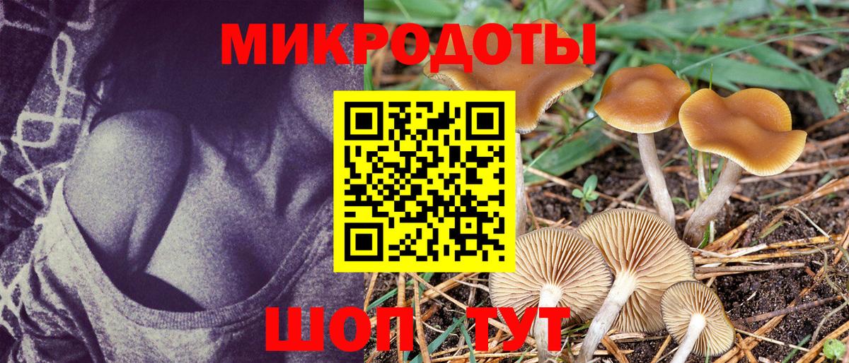 Галлюциногенные грибы прущие грибы  купить наркотики сайты  Псилоцибиновые грибы GOLDEN TEACHER  Норильск  Вход с VPN 